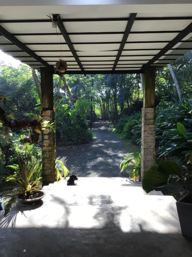 Thelakehostel Хиккадува Экстерьер фото