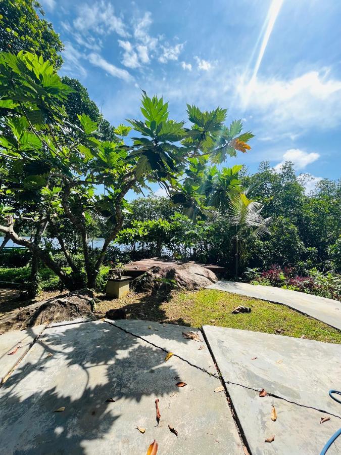 Thelakehostel Хиккадува Экстерьер фото